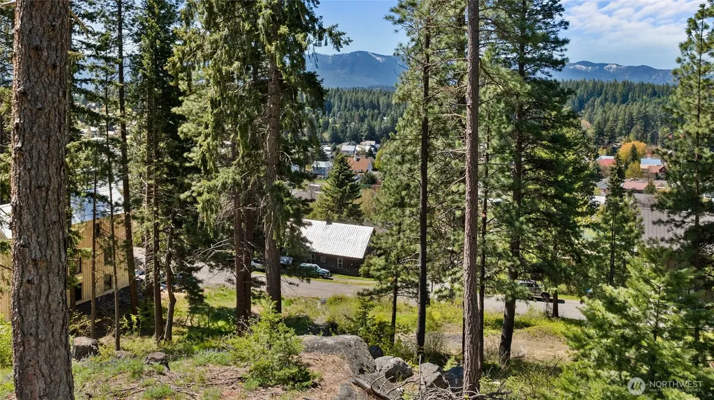 311 N C Street Roslyn WA 98941