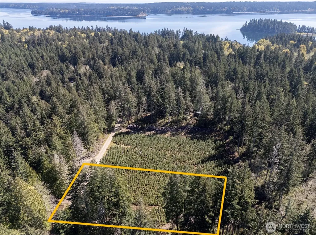103 Andrejs Road Shelton WA 98584