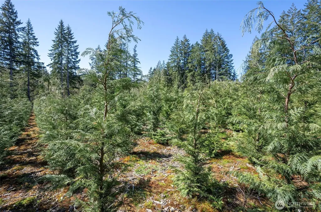 103 Andrejs Road Shelton WA 98584