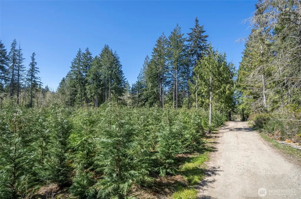 103 Andrejs Road Shelton WA 98584