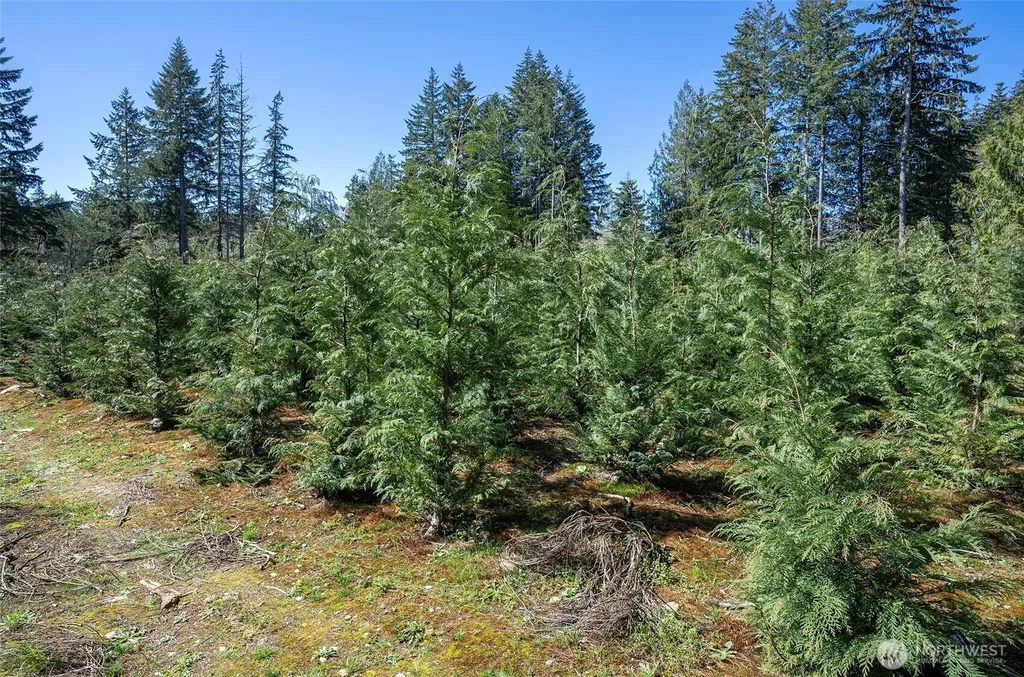 103 Andrejs Road Shelton WA 98584