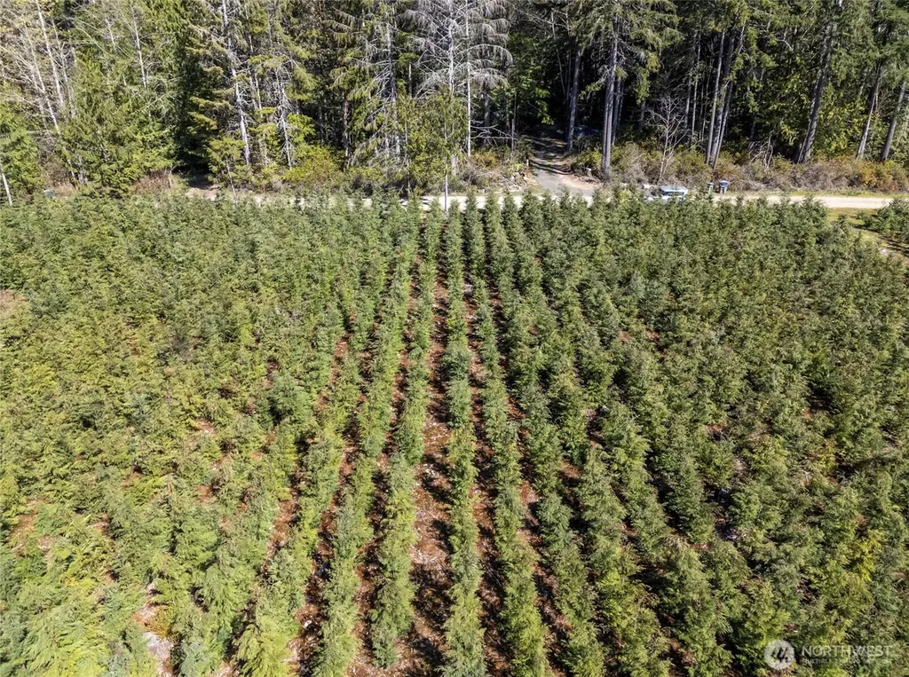 103 Andrejs Road Shelton WA 98584