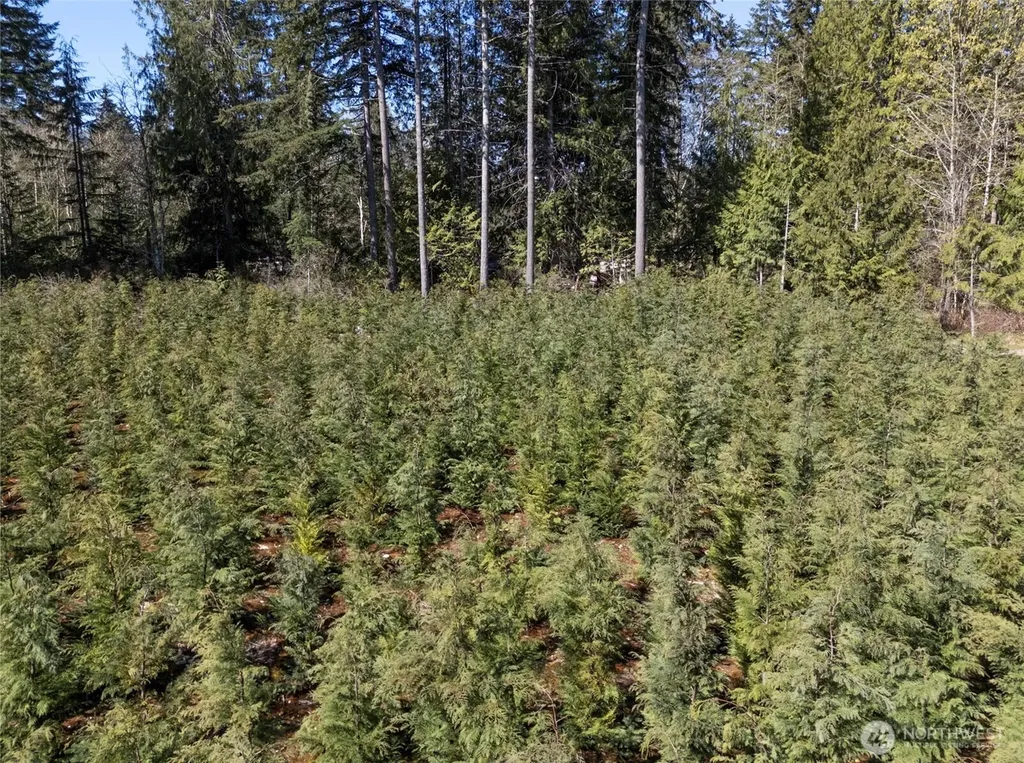 103 Andrejs Road Shelton WA 98584