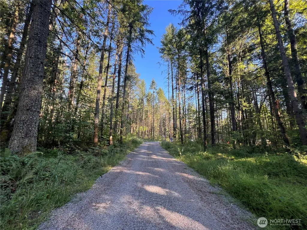 18311 Shenandoah Lane SE Yelm WA 98597