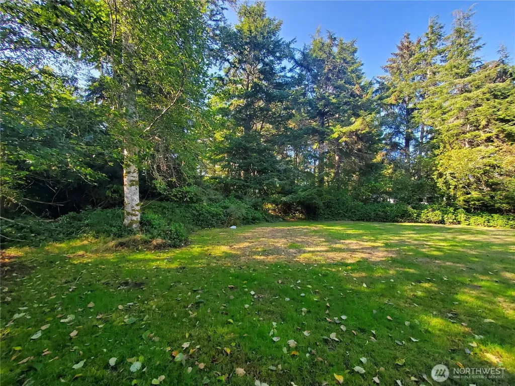 741 Chenois Avenue NE Ocean Shores WA 98569