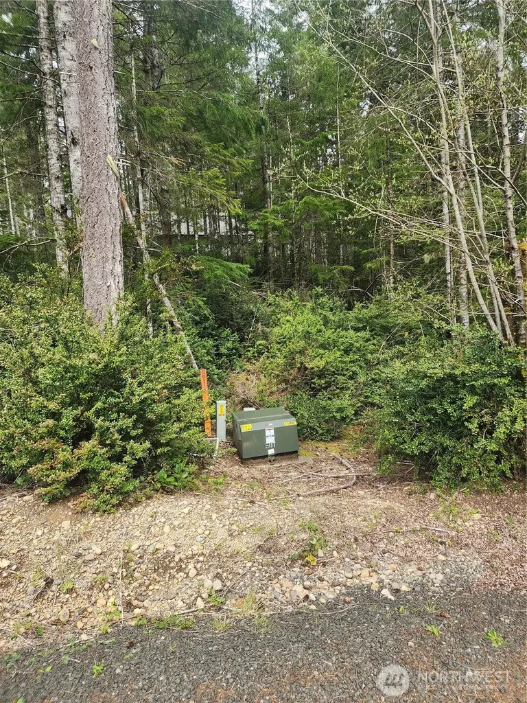 51 E Blackberry Lane Union WA 98592