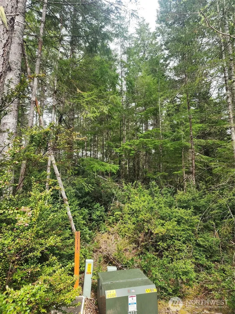 51 E Blackberry Lane Union WA 98592
