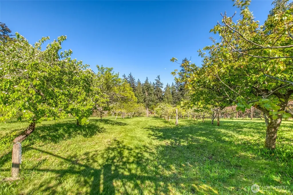 260 Grey Havens Loop Orcas Island WA 98280