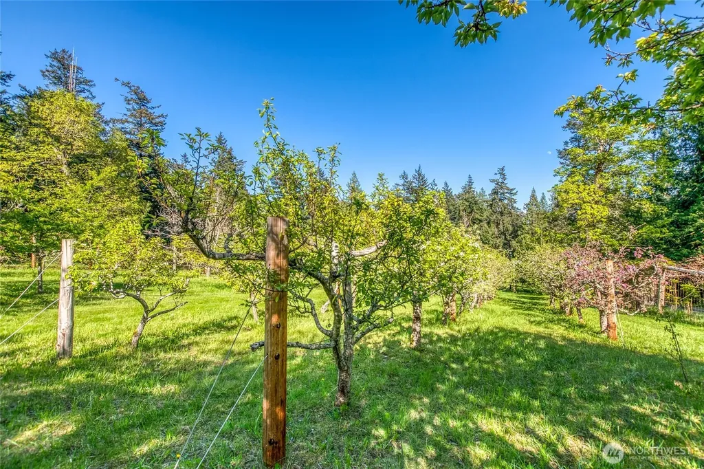 260 Grey Havens Loop Orcas Island WA 98280