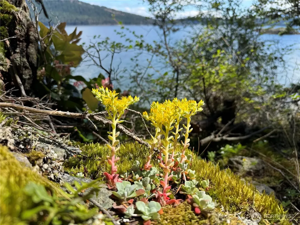 260 Grey Havens Loop Orcas Island WA 98280