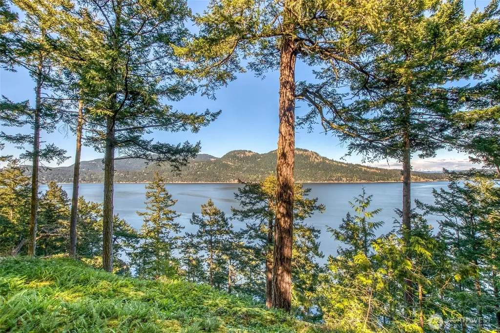 260 Grey Havens Loop Orcas Island WA 98280
