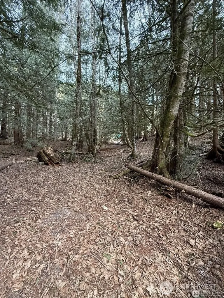 87236 NE Old Cascade Highway Skykomish WA 98288