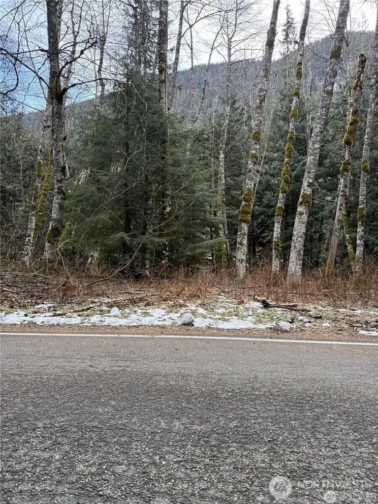 87236 NE Old Cascade Highway Skykomish WA 98288