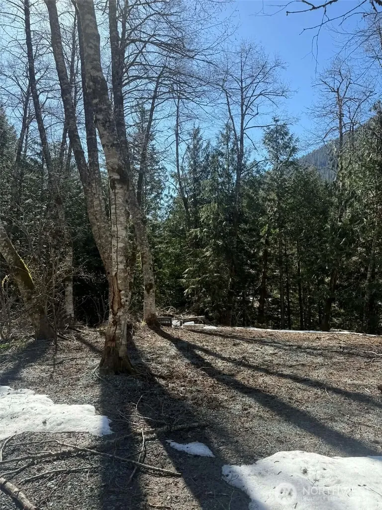 87236 NE Old Cascade Highway Skykomish WA 98288