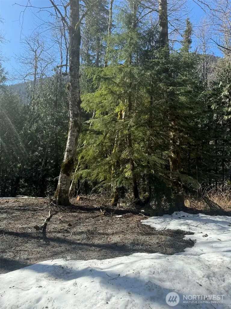 87236 NE Old Cascade Highway Skykomish WA 98288