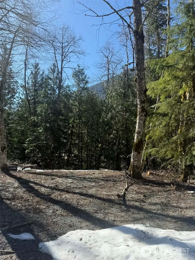 87236 NE Old Cascade Highway Skykomish WA 98288