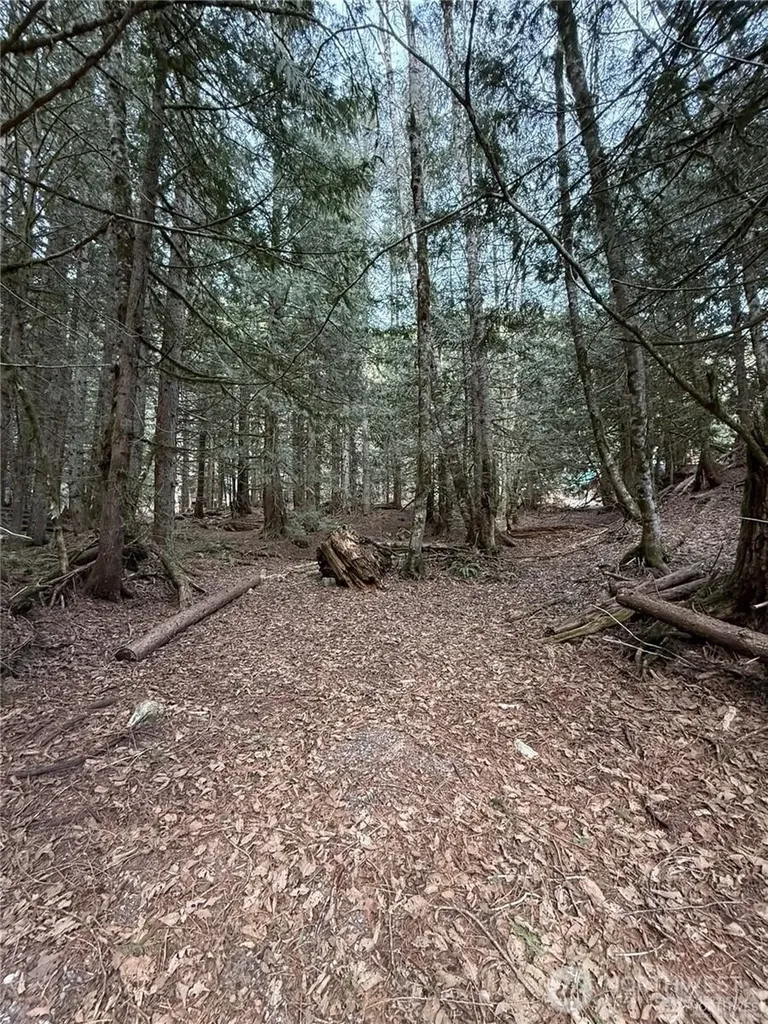 87236 NE Old Cascade Highway Skykomish WA 98288