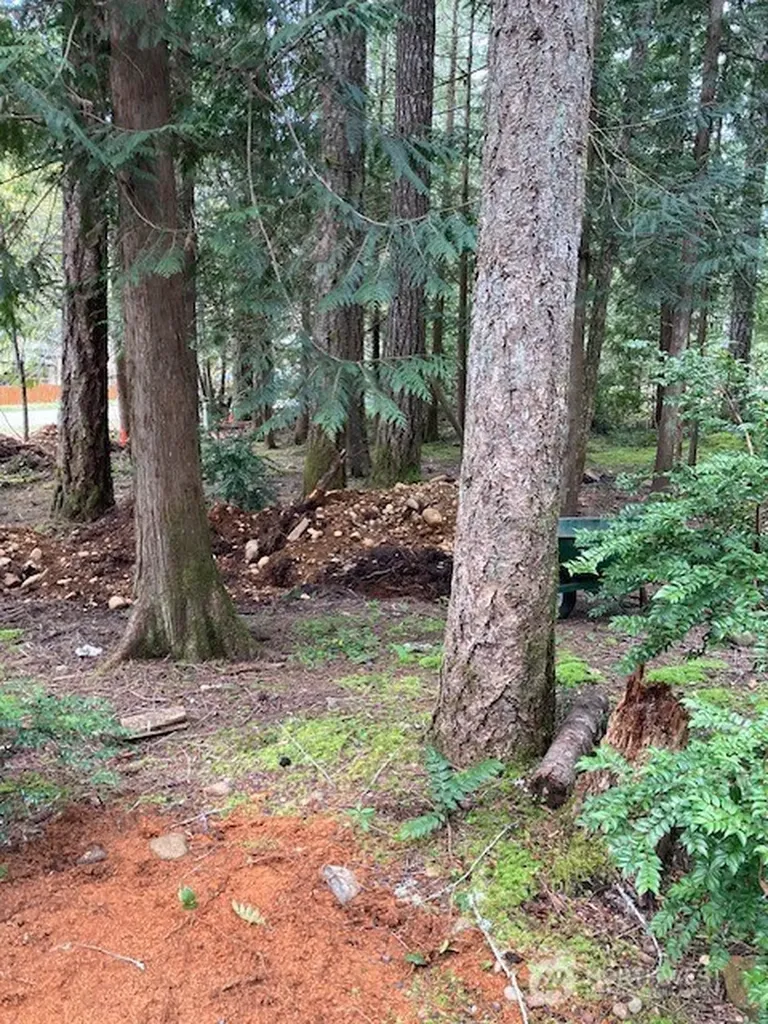 101 N Mt. Jupiter Drive Hoodsport WA 98548