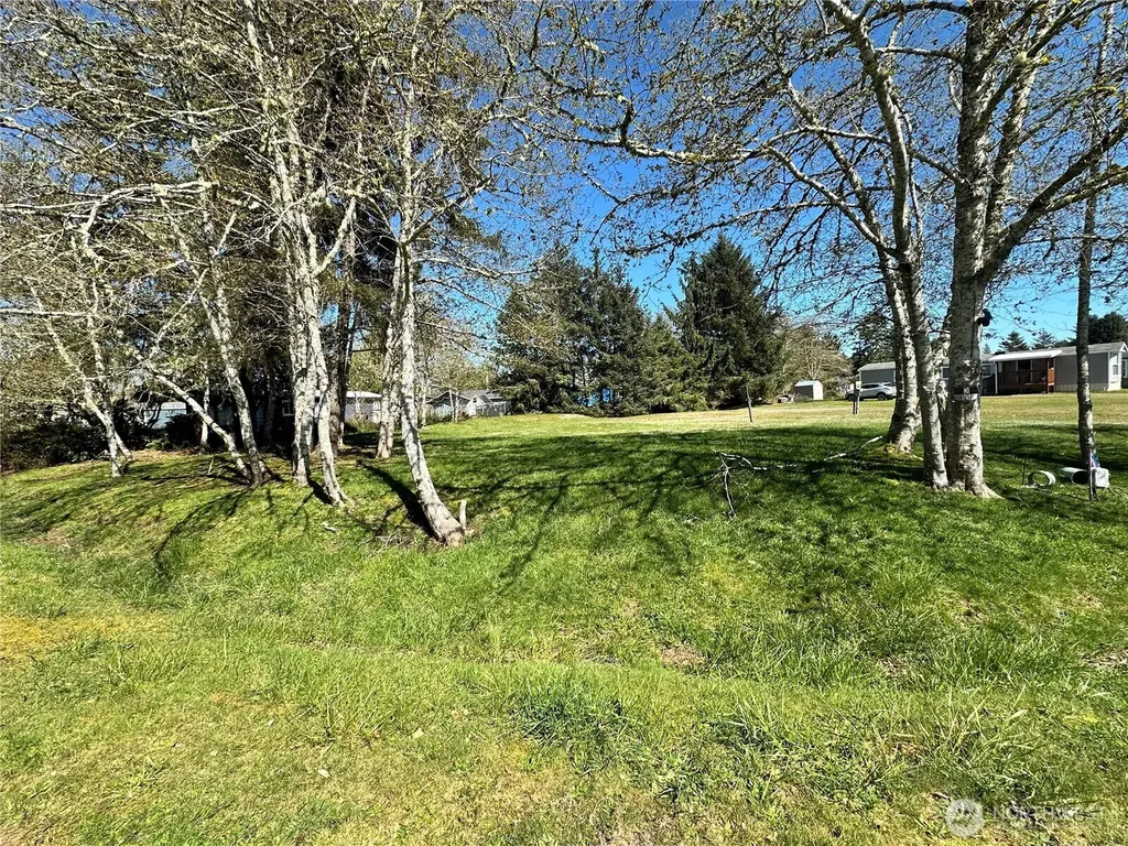 732 Edgewood Avenue NE Ocean Shores WA 98569
