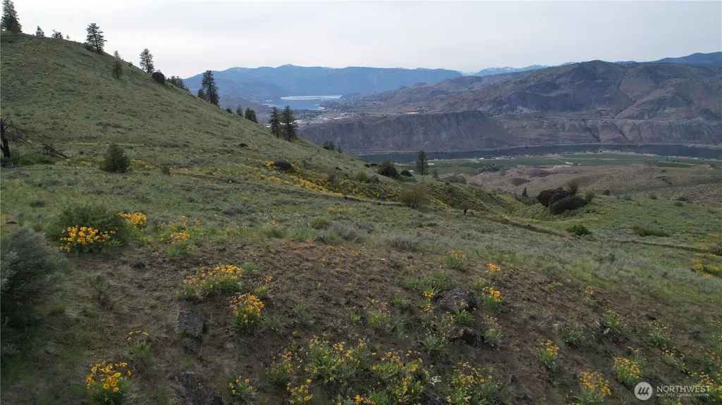 0 Coyote's Curve Road Orondo WA 98843