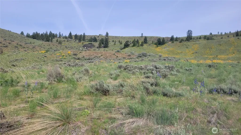 0 Coyote's Curve Road Orondo WA 98843