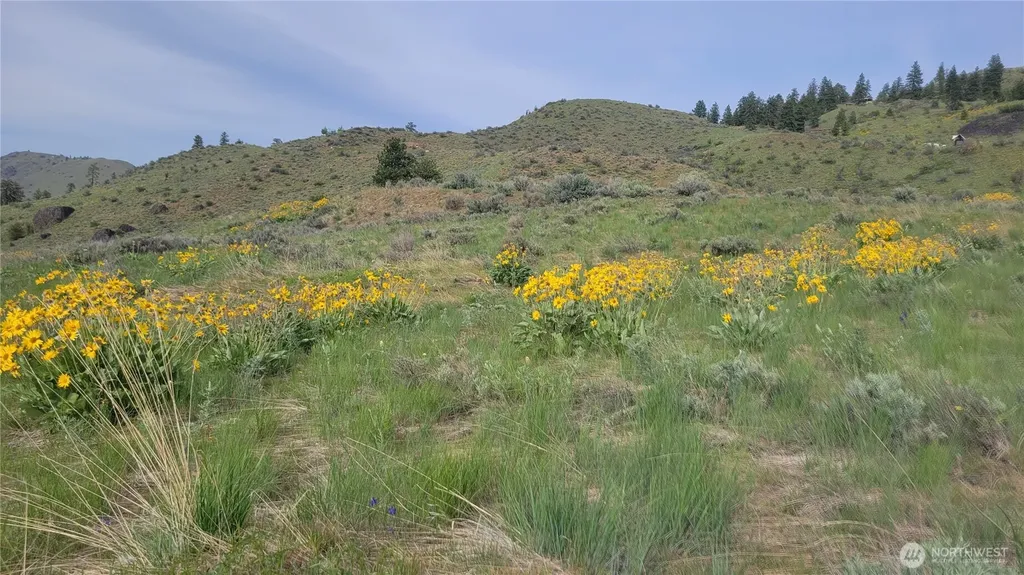 0 Coyote's Curve Road Orondo WA 98843