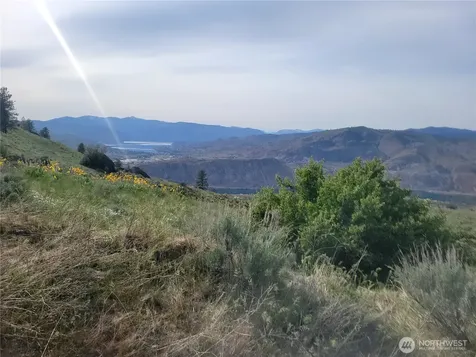 0 Coyote's Curve Road Orondo WA 98843