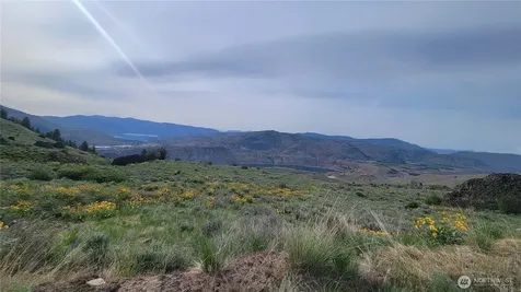 0 Coyote's Curve Road Orondo WA 98843