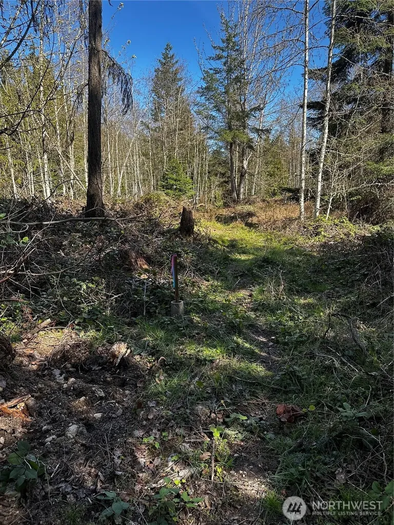 99 Robinson Road Port Angeles WA 98362