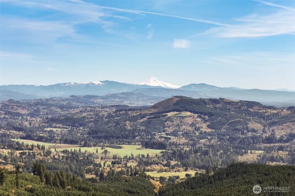 209 High Bank Lane Woodland WA 98674
