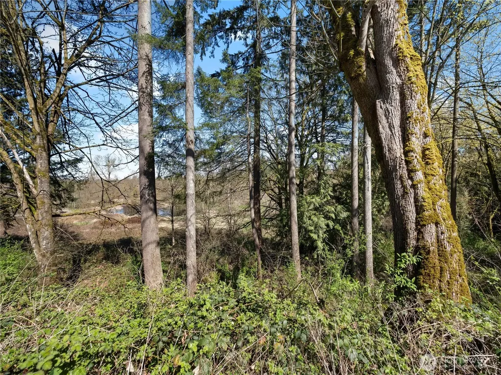 41298 214th Avenue SE Enumclaw WA 98022