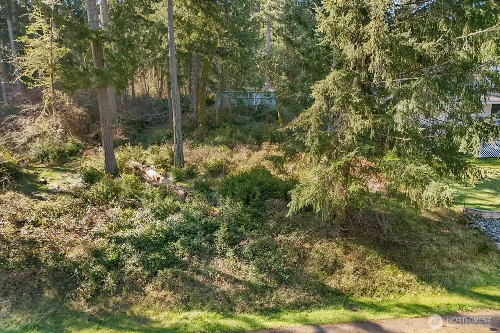 10514 100th Street Court Anderson Island WA 98303