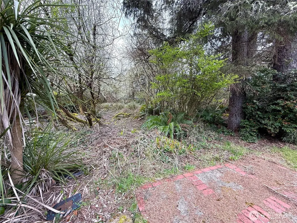 381 Dolphin Avenue NE Ocean Shores WA 98569
