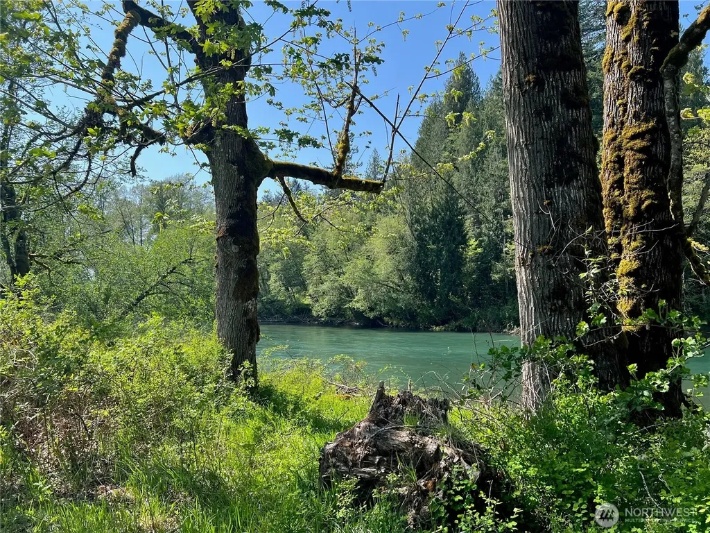 11377 Us Highway 12 Randle WA 98377