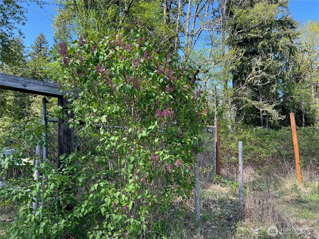 11377 Us Highway 12 Randle WA 98377