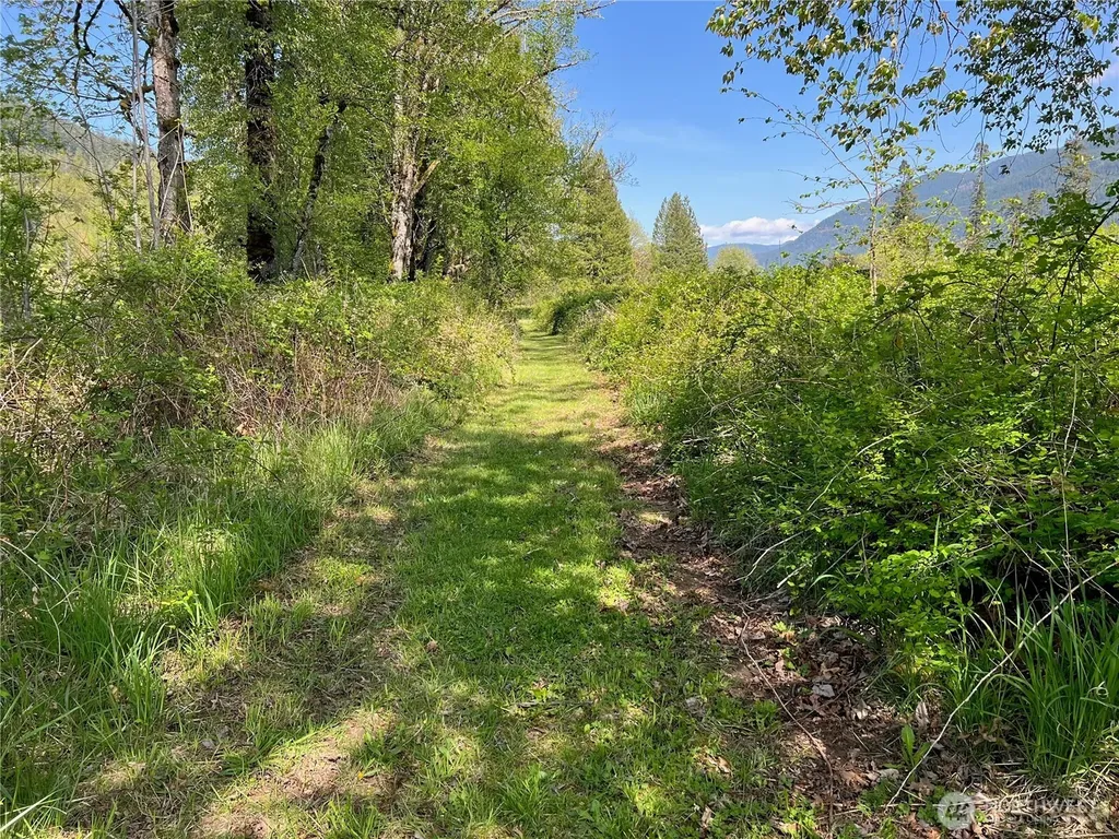 11377 Us Highway 12 Randle WA 98377