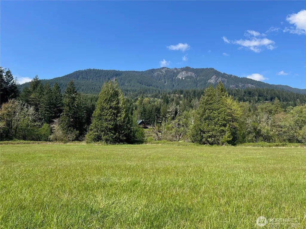 11377 Us Highway 12 Randle WA 98377