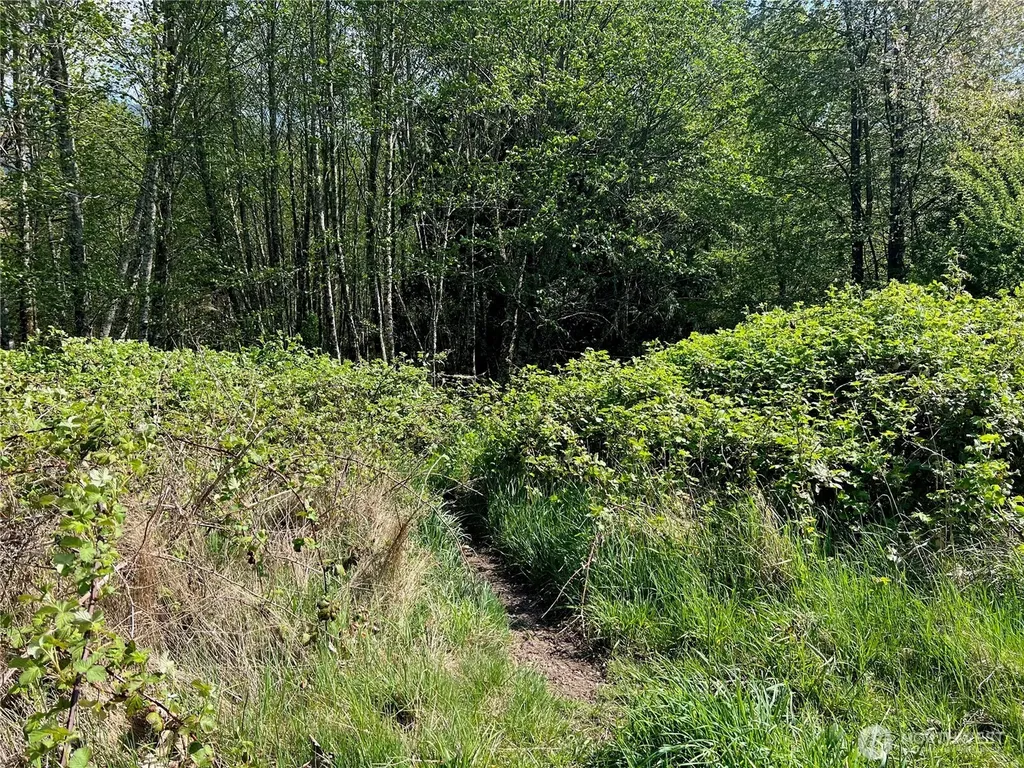 11377 Us Highway 12 Randle WA 98377