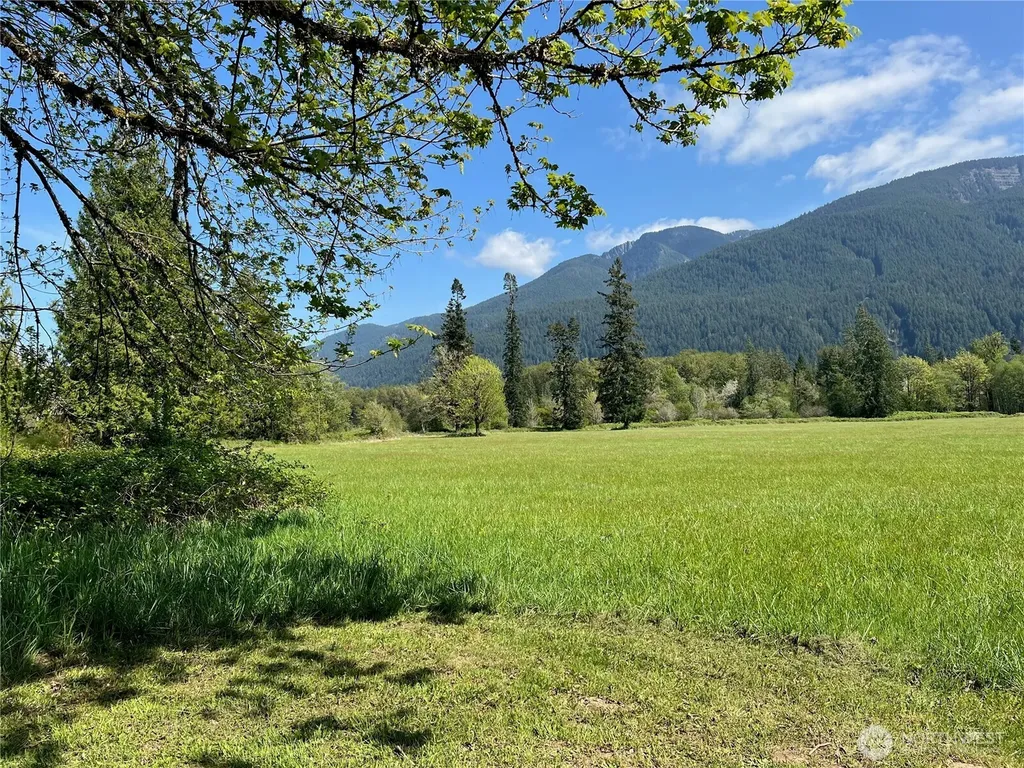 11377 Us Highway 12 Randle WA 98377
