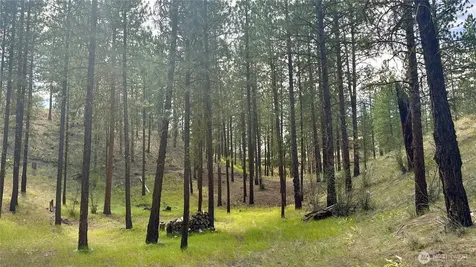 98 Larkspur Drive Winthrop WA 98862