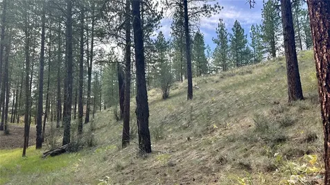 98 Larkspur Drive Winthrop WA 98862