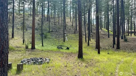 98 Larkspur Drive Winthrop WA 98862