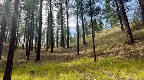 98 Larkspur Drive Winthrop WA 98862