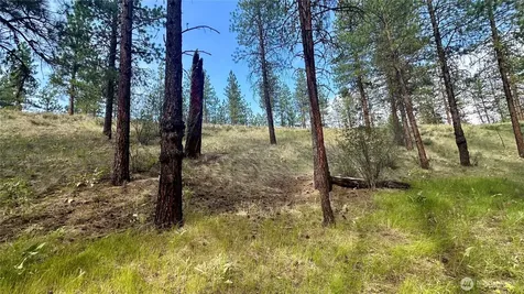 98 Larkspur Drive Winthrop WA 98862