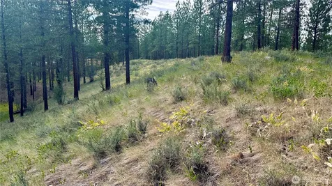 98 Larkspur Drive Winthrop WA 98862