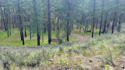 98 Larkspur Drive Winthrop WA 98862
