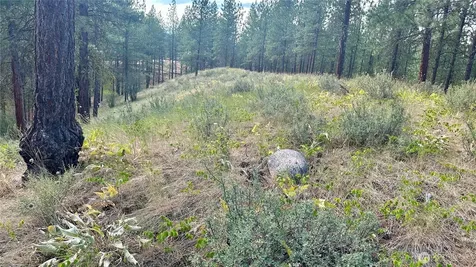 98 Larkspur Drive Winthrop WA 98862