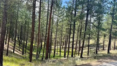 98 Larkspur Drive Winthrop WA 98862