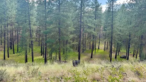 98 Larkspur Drive Winthrop WA 98862