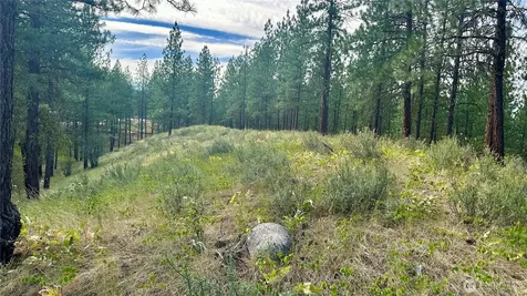 98 Larkspur Drive Winthrop WA 98862